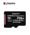 MICRO SD KING CANVAS 256G